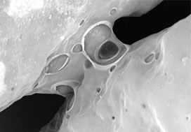 forschungsphilosophie forschungsphilosophie