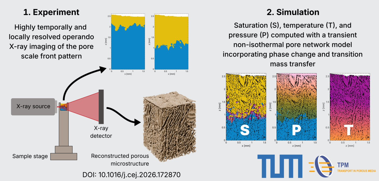 Assessment of non-isothermal pore network modeling of freeze-drying using 4D X-ray imaging