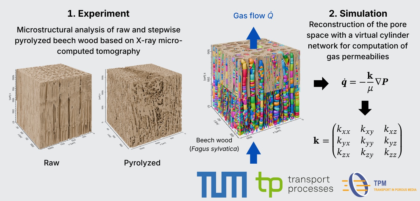 Anisotropic permeability tensors of raw and gradually pyrolyzed beech wood (Fagus sylvatica) from pore network simulations