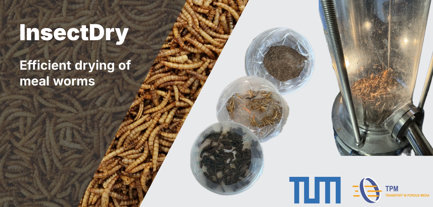 Project: InsectDry