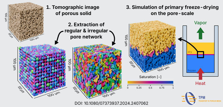 Pore network simulation of primary freeze-drying