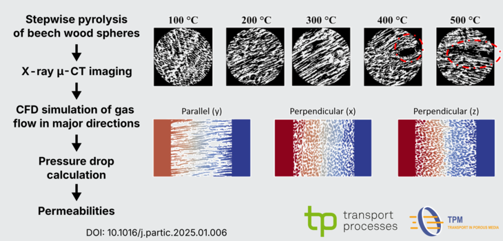 Publication: Permeability Determination of Beech Wood during Pyrolysis